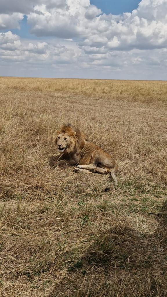Safari 6 Giorni 5 Notti